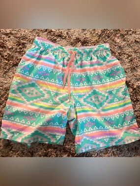 chubbies Green, Purple, Orange Pastel Swim Shorts